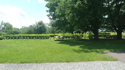 a park with a tree and a swing at BIG BERRY KOLPA - KIWI mobile house, Metlika in Gradac