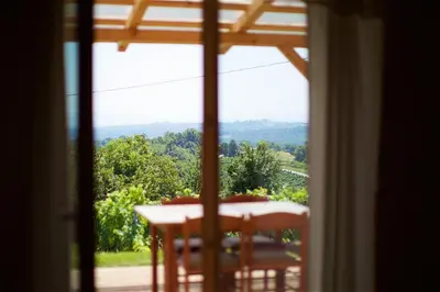 a view of a table and chairs from a window at Tourist Farm Apartments Lovrec in Jiršovci