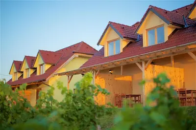 a row of houses with red roofs at Tourist Farm Apartments Lovrec in Jiršovci