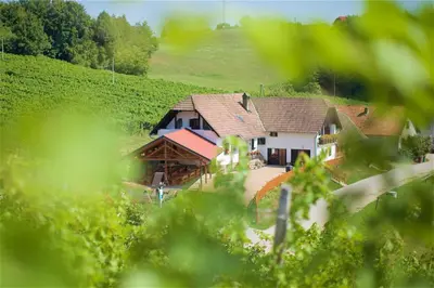 a large house in the middle of a field at Tourist Farm Rooms Lovrec in Jiršovci