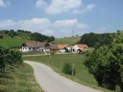 a dirt road leading to a farm with houses at Tourist Farm Rooms Lovrec in Jiršovci