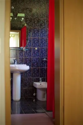 a bathroom with a sink and a toilet and a red curtain at Tourist Farm Rooms Lovrec in Jiršovci