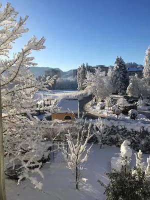 a snow covered yard with trees and a building at Starling Loka in Škofja Loka