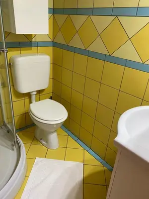 a bathroom with a toilet and a sink at Apartma CASA CELESTE in Renče