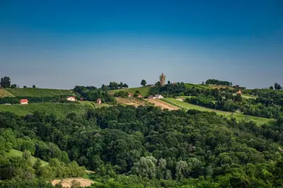 a green hill with trees and a building on it at Wellness Počitniška hiša Manja in Ljutomer