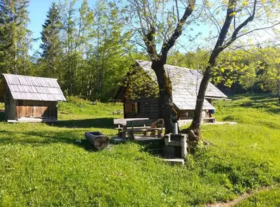 a cabin in the middle of a field with a tree at Hiška vogar in Bohinj