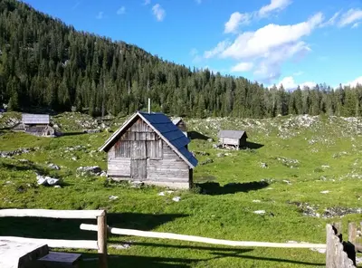 an old cabin in a field with a fence at Hiška vogar in Bohinj