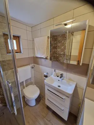 a bathroom with a sink and a toilet and a mirror at Hiška vogar in Bohinj