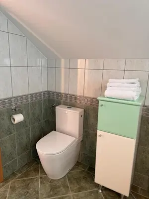a bathroom with a toilet and towels in it at Holiday home Ana in Fokovci