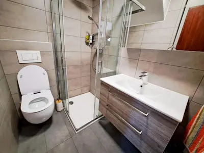 a bathroom with a toilet and a shower and a sink at Hikers Hut Hišar in Podbrdo