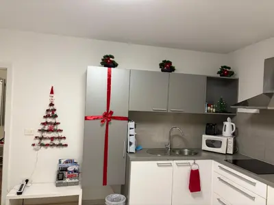 a kitchen with a refrigerator with a christmas tree on it at Boutique Apartments in Ljubljana
