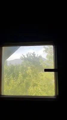 a window with a view of a tree at Chalet Kujavnk in Kranj