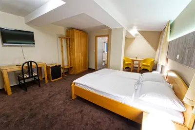 a bedroom with a bed and a desk and a tv at Vila Sofia in Tržič