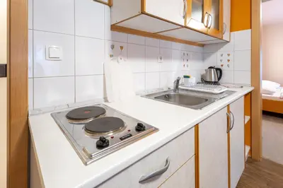 a small kitchen with a stove and a sink at Vila Sofia in Tržič