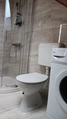 a bathroom with a white toilet and a shower at Hiša Piber in Bled
