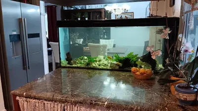 a fish tank sitting on top of a counter at Hiša Piber in Bled