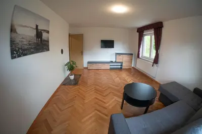 a living room with a couch and a table at Apartments Field Flower in Radovljica