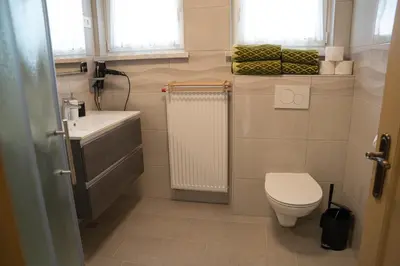 a small bathroom with a toilet and a sink at Apartments Field Flower in Radovljica