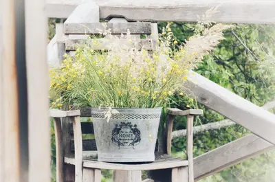 a potted plant sitting on a wooden chair at Johanca in Obrov
