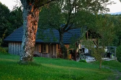 a house with a metal roof and a tree at Johanca in Obrov