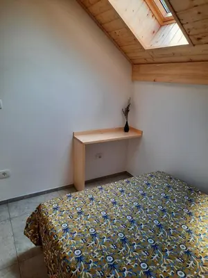 a bedroom with a bed and a wooden ceiling at Hiša Ella in Žaga
