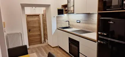 a kitchen with a sink and a black refrigerator at Studio apartment Under the castle in Škofja Loka