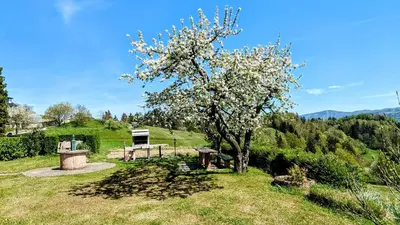 a park with a tree and a picnic table at Heaven Can Wait Country Retreat in Poljane nad Škofjo Loko