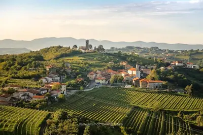 a small town on a hill with vineyards at Apartma na podeželju - Slovenia Nature in Kanal