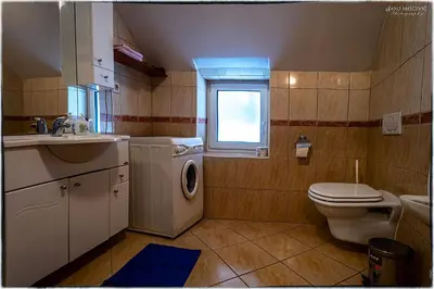 a bathroom with a washing machine and a toilet at Turistična kmetija Markun in Golnik