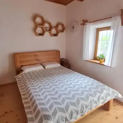 Soba tete Tile - Hiša ob gozdu