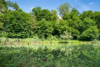 a pond with trees and a house in the background at Apartma Mimi in Radovljica