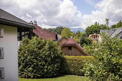a group of houses with a hedge in a yard at Apartments Villa AnnaMaria in Bled