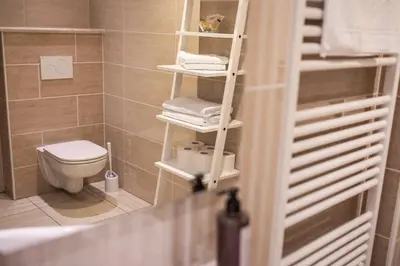 a small bathroom with a toilet and towels on shelves at Apartments Villa AnnaMaria in Bled