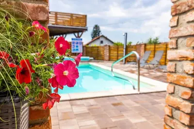a swimming pool with red flowers in a yard at Apartments Galunder in Veržej