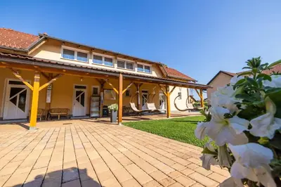 a house with a patio with white flowers at Apartments Galunder in Veržej