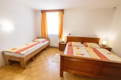a bedroom with two beds and a window at Apartments Galunder in Veržej