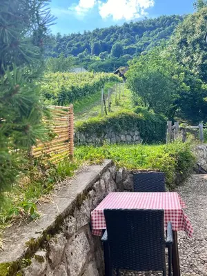 a table and chairs with a view of a vineyard at Vineyard cottage Kovačnica in Semič