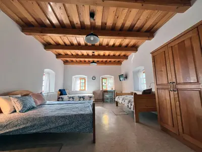 a bedroom with two beds and a wooden ceiling at Vineyard cottage Kovačnica in Semič