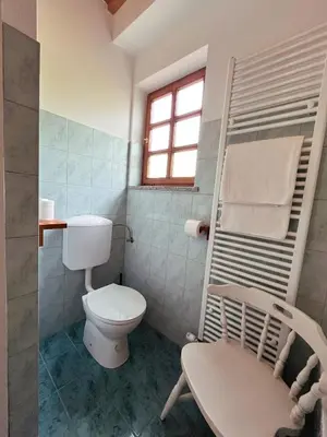 a bathroom with a toilet and a sink and a window at Vineyard cottage Kovačnica in Semič