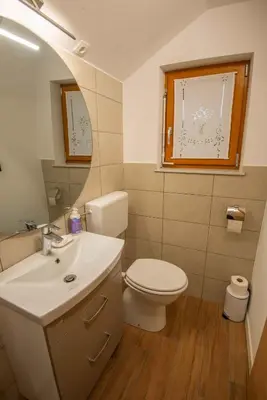 a bathroom with a toilet and a sink and a mirror at Cottage in Novo Mesto 50797 in Novo Mesto