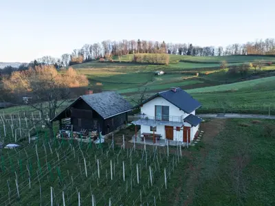 an aerial view of a house in a vineyard at Cottage in Novo Mesto 50797 in Novo Mesto