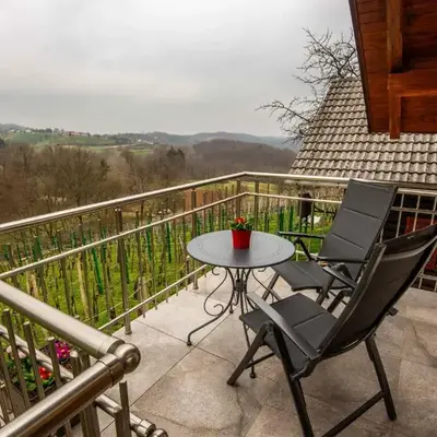 Cottage in Novo Mesto 50797