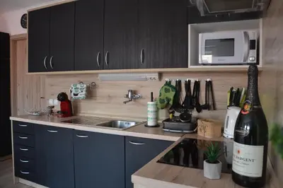 a kitchen with a sink and a bottle of wine at Aparthouse SUPREME with Terme Catez Swimming Pools Tickets in Čatež ob Savi