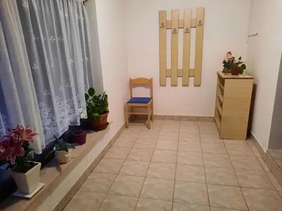 a room with potted plants and a chair and a window at Apartma Grlica in Selnica ob Muri