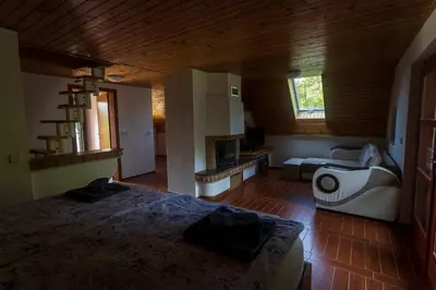 a bedroom with a large bed in a room at Domačija Marinč in Kostel