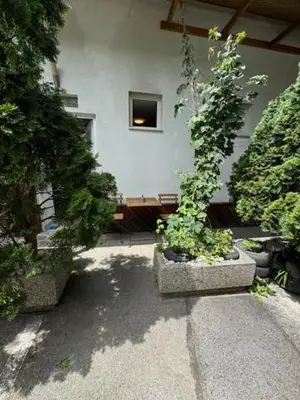 a building with two potted plants and a window at Cozy flat near Tivoli park with free parking in Ljubljana
