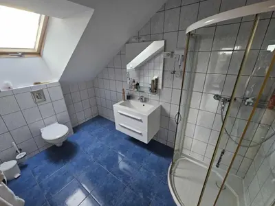 a bathroom with a toilet and a sink and a shower at Posestvo Rožengrunt pri Miheliču in Lokavec
