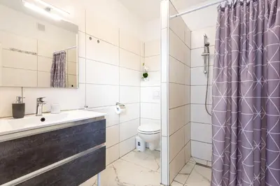 a bathroom with a toilet and a sink and a shower at Apartma Majdas in Loka pri Mengšu