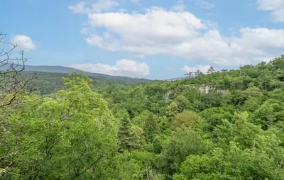 a forest of trees with mountains in the background at 1 Bedroom Beautiful Apartment In Divaca in Divača