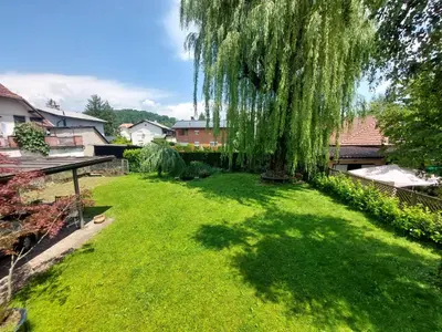 a weeping willow tree in a yard at ROSE house - greenline accomodations in Ljubljana